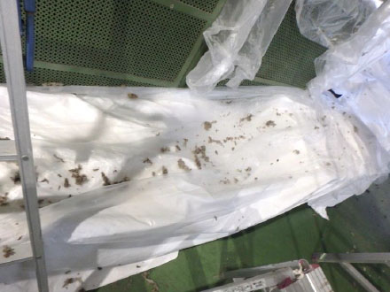 工場の天井掃除