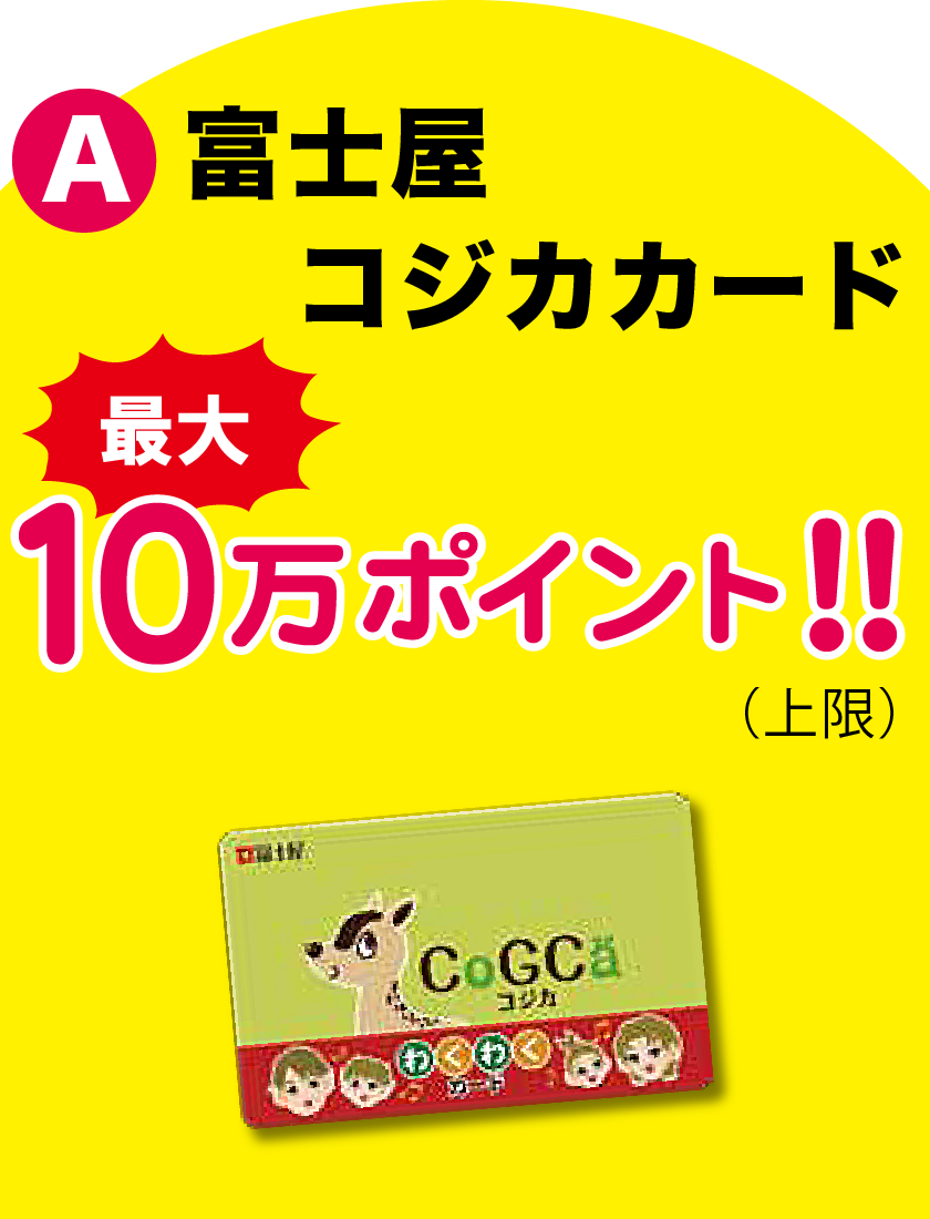 A 富士屋コジカカード 最大10万ポイント！！（上限）
