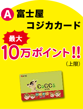 A 富士屋コジカカード 最大10万ポイント！！（上限）